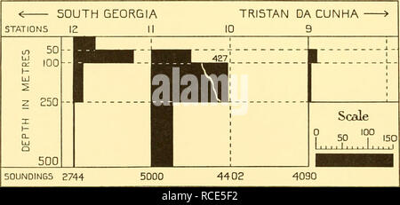 . Discovery reports. Discovery (Ship); Scientific expeditions; Ocean; Antarctica; Falkland Islands. 2743 3197 ? 50 'f ,50 Scale 111 â 1111111111 â 1. Fig. 69. Showing the vertical distribution of Rfiincalanus gigas at stations between the Falkland Islands and South Georgia February 1927 and between South Georgia and Tristan da Cunha February 1926. The scale represents the numbers per 50 m. vertical haul taken by a series of closing N 70 V nets. Horizontal broken lines show the ranges of these vertical hauls. For accompanying hydrological conditions see Figs. 9 and 10.. Please note that these i Stock Photo