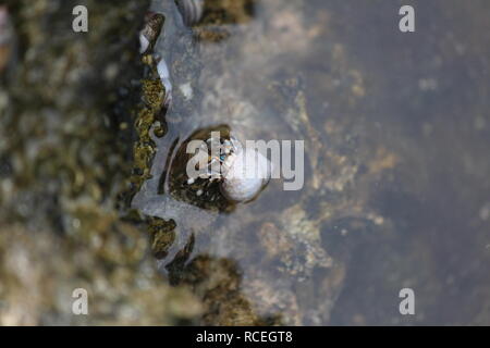 Hawaii Mermaid Caves Stock Photo