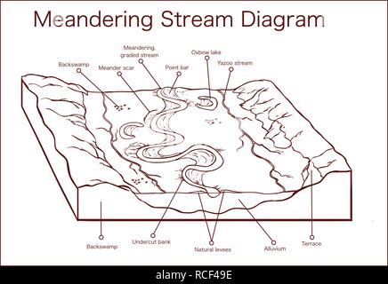 Vector illustration of a Meandering Stream Stock Vector