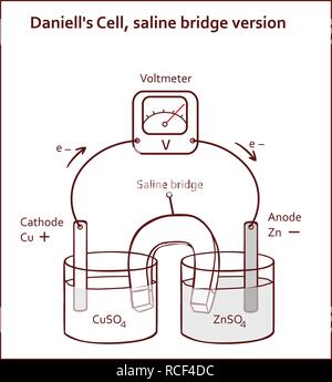 Daniell's Cell, saline bridge version vector illustration Stock Vector