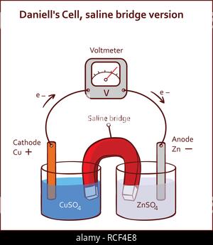 Daniell's Cell, saline bridge version vector illustration Stock Vector