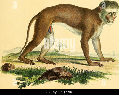 Oimia Yixo S1 Lx O S Ocoi J Y U De Stock Photo Alamy
