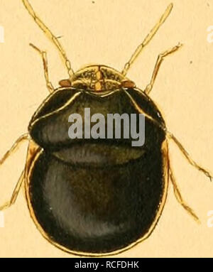4y 4 Y Tk Ea C E A A Gt Yuy J Lt 7 F 47s Oi Ae I Yta Izt J 7 X Stock Photo Alamy
