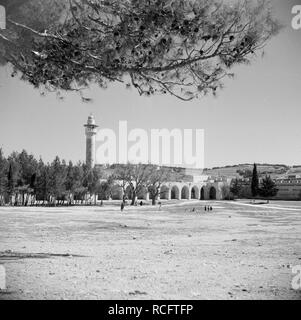 Al Haram esh-Sharif - Tempelberg, Bestanddeelnr 255-5419. Stock Photo