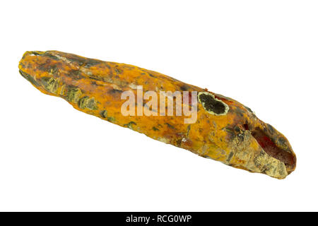 rotten papaya on white isolate background Stock Photo