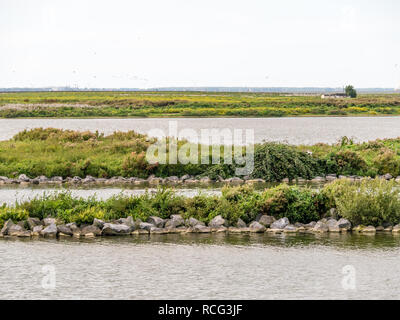 Panorama of water and nature on artificial island De Kreupel in lake IJsselmeer, Noord-Holland, Netherlands Stock Photo