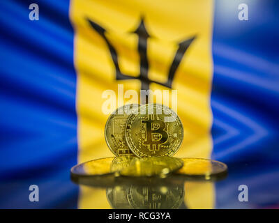 Bitcoin gold coin and defocused flag of Barbados background. Virtual cryptocurrency concept. Stock Photo