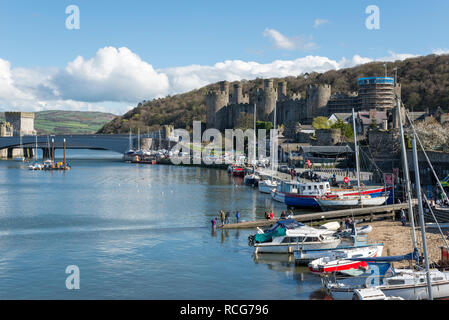 Busy spring day at Conwy harbour in North Wales. View of the castle and the many boats moored beside the harbour. Stock Photo