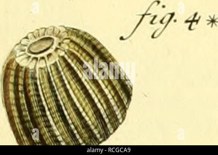 Ssf 4 Ss S A Rtcf O Stock Photo Alamy