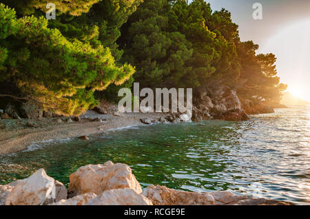 Sunset on the sea shore with rocks and pine. Stock Photo