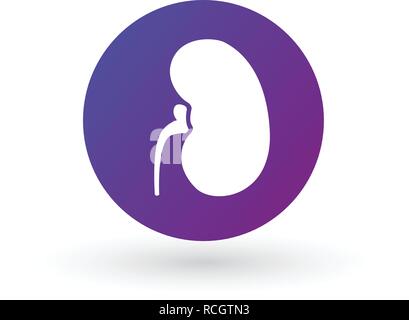 Simple kidneys purple gradient icon in circle. Symbol and sign vector illustration Isolated on white Stock Vector