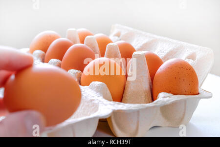 Chicken eggs on a tray. Selective focus. Chicken egg omelette for Breakfast. One egg in hand. Stock Photo