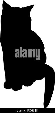 Cat black silhouette on white vector illustration Stock Vector