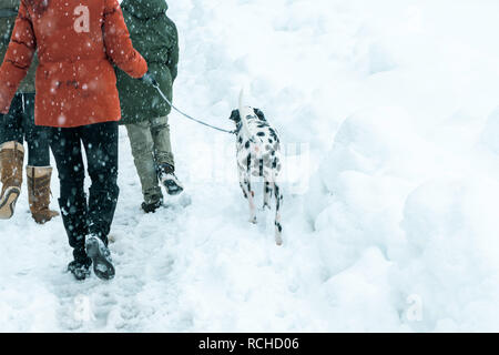 Happy family walking dalmatian dog pet outdoors in winter snow Stock Photo