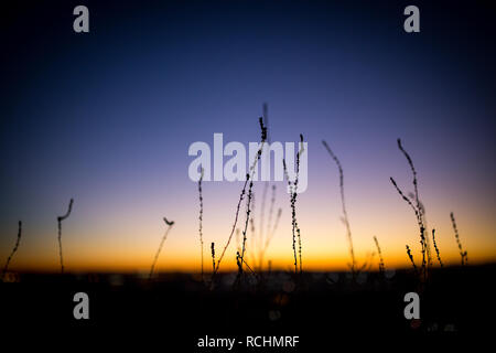 Beautiful sunset over madrid city Stock Photo