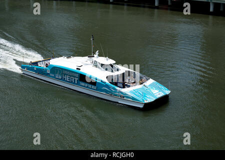 A CityCat catamaran on the Brisbane River, Brisbane, Queensland, Australia Stock Photo