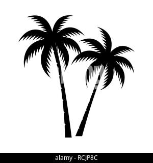 palm tree vector design Stock Photo