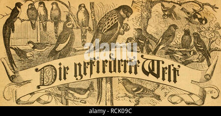 Die Gefiederte Welt Birds Seitfdjrift Fur Sjdoelueojaliev 3udjter Nnb Finwer 5beftckuii Eii Burd Jcbc Ibucf Fiaiioluiioi Fou Ie Jcljc Ssoftanftnlt Gerauggegeben Ooit Dr Maxi Ihip I Aljrgflttg Ijcrfttt Bctt 29 Jlttsttd 1872 Issvcis
