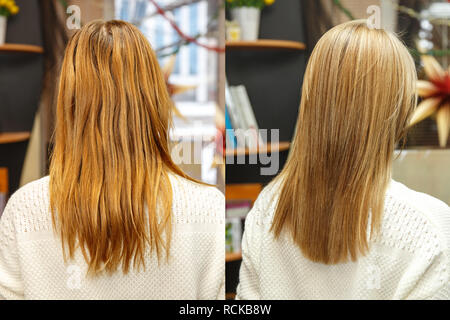 Professional hairdresser dyeing hair of her client in salon. Color hair before and after procedure. Selective focus. Stock Photo