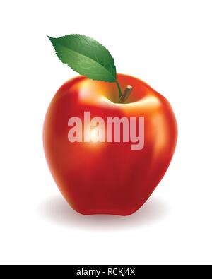 Vector illustration of fresh red apple, executed in a realistic manner. Stock Vector