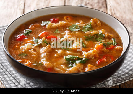 Flaki or flaczki is a traditional Polish meat stew close-up in a bowl on the table. horizontal Stock Photo