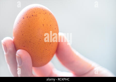 A chicken egg in a woman's hand. Chicken egg omelette for Breakfast. Close up.