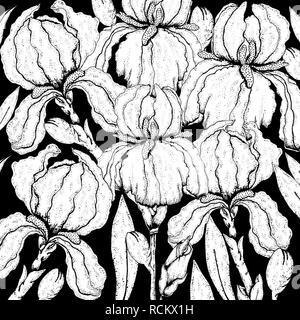 Doodle floral background in vector with doodles black and white coloring page of iris flowers. Vector ethnic pattern can be used for wallpaper, patter Stock Vector