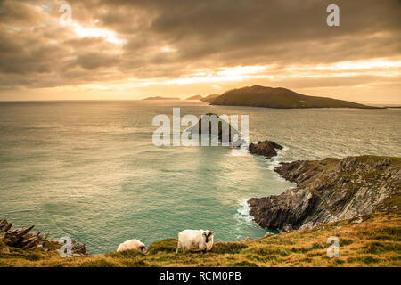 Slea Head, one of the most beautiful scenery of the Ring of Kerry, Ireland Stock Photo
