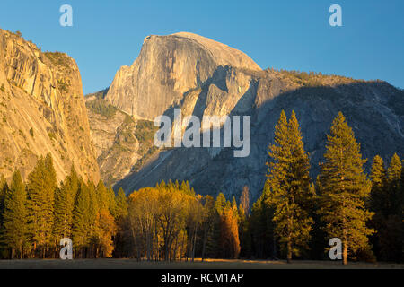 The sun sets on half dome as it rises over a meadow and trees in Yosemite Valley of Yosemite National Park. California, USA Stock Photo