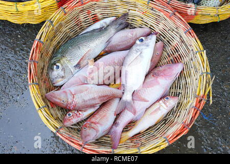 Fresh Tropical fish on basket for sale at Seafood Market Stock Photo