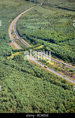 The Netherlands, Kootwijk. Motorway and eco crossover for fauna. Ecoduct crossing A1 highway. Aerial. Ecoduct. Wildlife bridge. Wildlife crossing. Stock Photo