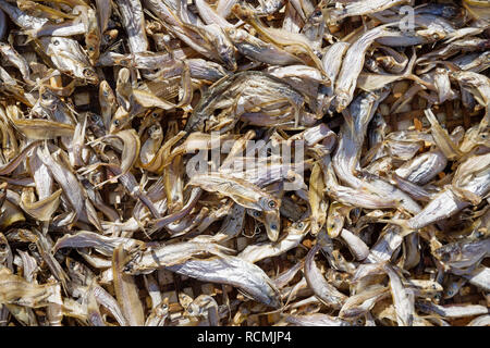 dried fish drying on a basket tray in Laos Stock Photo