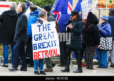 London, UK. 15th Jan, 2019. A protester seen holding a placard during the protest.Hundreds of Anti-Brexit and Pro-Brexit demonstrators are seen protesting outside the Houses of Parliament. Later this evening after five days of debate, MPs will vote on British Prime Minister Theresa May's EU Withdrawal deal. Credit: Dinendra Haria/SOPA Images/ZUMA Wire/Alamy Live News Stock Photo