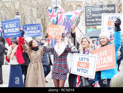 London, UK. 15th Jan 2019. Brexit protesters outside the Houses of Parliament, London (UK). Tuesday 15 January 2019. Credit: Jonathan Jones/Alamy Live News Stock Photo