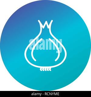 Vector Onion Icon Stock Vector