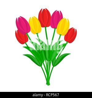 Bouquet of colorful tulips in flat design. Vector illustration. Bouquet of seven tulips, isolated on white background Stock Vector