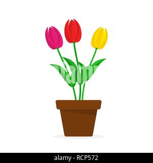 Bouquet of colorful tulips in the pot. Vector illustration. A pot with a bouquet of flowers in flat design, isolated on white background Stock Vector