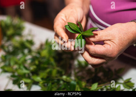 green leaves in a basket in the basket on the table the wedding tradition of Ukraine 2019 Stock Photo