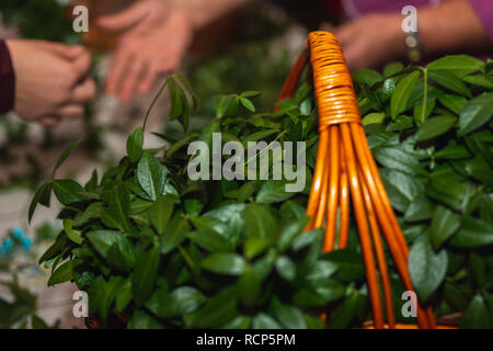 Green leaves are periwinkle in a basket on the table 2019 Stock Photo