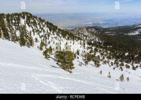 View towards Palm Springs and Coachella Valley from Mount San Jacinto State Park, California Stock Photo