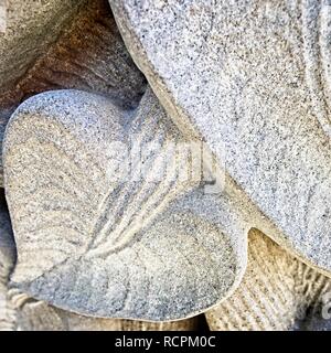 The Woodlands TX USA - Jan. 25, 2018  -   Plant Leaves of Concrete 2 Stock Photo