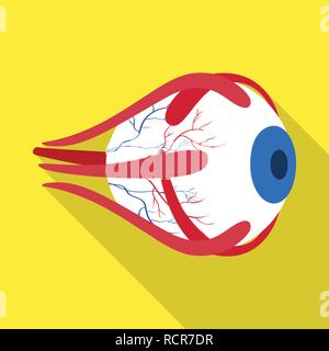 eyeball,eye,cornea,layers,structure,eyesight,protection,treatment ...