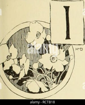 . Descriptive supplemental catalogue of new, rare and beautiful plants. Nurseries (Horticulture) New York (State) Catalogs; Plants, Ornamental Catalogs; Flowers Catalogs. INTHODUCTORY -â ix&gt; f1 '' N PRESENTING our new edition for 1891 and supplement to our General Cataloj^ue, we wish to call attention to the variety and extent of our stock, as well as to its superior condition. Since the issue of the last editon, we have added to our collec- tion very many new and valuable plants of recent discovery and introduction, as well as brought forward a number of beautiful species which, while year