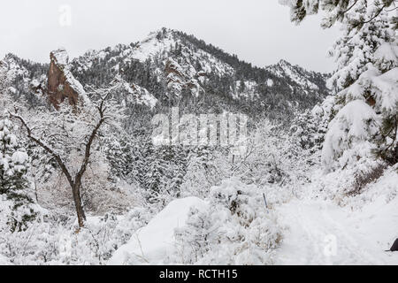 A snowy morning  in Shadow Canyon in the  Flatiron rock formations of South of Boulder, Colorado. Stock Photo
