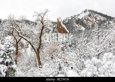 A snowy morning  in Shadown Canyon in the  Flatiron rock formations of South of Boulder, Colorado. Stock Photo