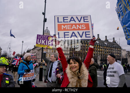 Pro-Brexit Leave and Remain in the EU campaigners demonstrating outside Parliament in London ahead of the vote in Parliament in London,England,UK Stock Photo