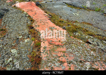 Precambrian shield granite with an orange igneous dyke and lichens ...
