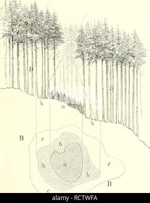Der Waldbau Forests And Forestry Jiaturbefninunfl Burd C Djirmftaub 427 C 91 A D U N B U