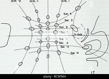 . The developmental anatomy of Isoetes. Isoetes; Botany. Orth. -2 Y-Axis 0-Orth. Orth. 2. Orth. -I Y-Axis Orth. I Orth. -2. Please note that these images are extracted from scanned page images that may have been digitally enhanced for readability - coloration and appearance of these illustrations may not perfectly resemble the original work.. Paolillo, Dominick J. Urbana, University of Illinois Press Stock Photo