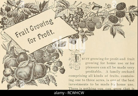 . Descriptive catalogue of Mill Creek Nurseries : fruit growing, its profits and slect market varieties. Nurseries (Horticulture), Georgia, Catalogs; Vegetables, Catalogs; Fruit trees, Catalogs. 32. $&gt;.. Br( RUIT growing for profit and fruit growing for home use or for pleasure can all be made very profitable. A family orchard comprising all kinds of fruits, contain- ing one to three acres, is one of the best investments to be made for home use. There is nothing you cau grow that is more healthful than fruit. The more we consume the less medical bills we have to pay. For profit, there is no